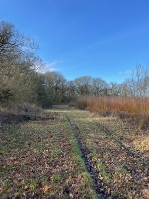 willow coppice kidlington in winter