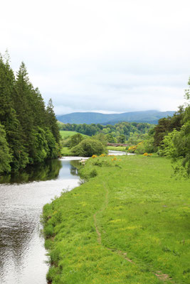 River Tweed