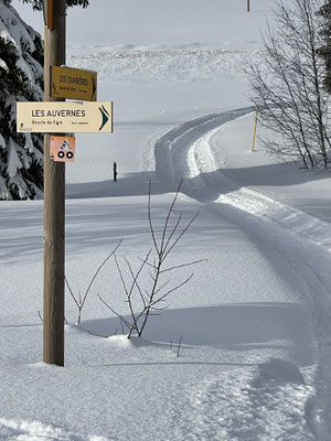 Chemin de raquette et de Fat Bike
