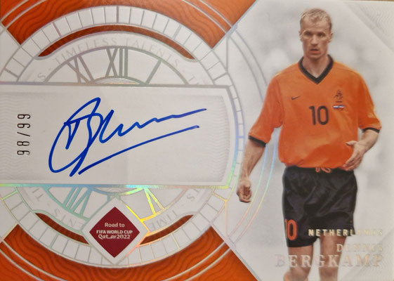 TS-DB - Dennis Bergkamp - Netherlands - 98/99