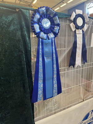 stolze Gewinner