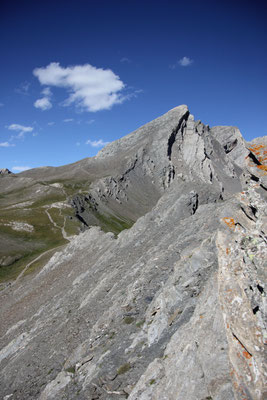 Col Agnello