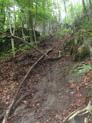 offizieller Wanderweg zum Ith-Turm