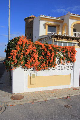 Frühling in Andalusien