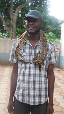 Temple du dieu Python