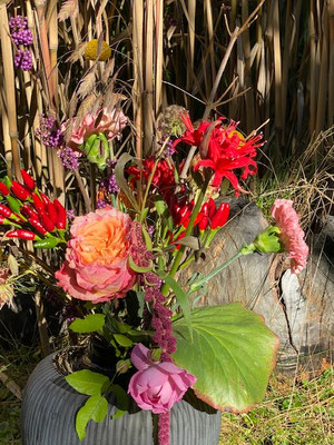 Herbstgefühle in starken Farben 