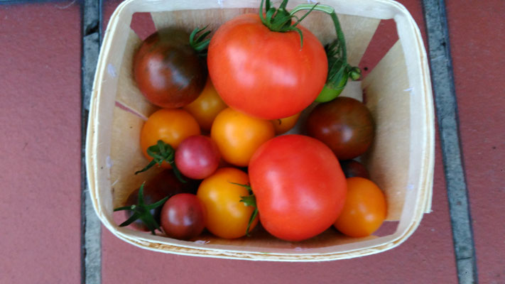 Ernährung