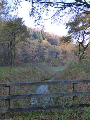 Wunderschöne Natur lädt zum Wandern und Spazierengehen ein.