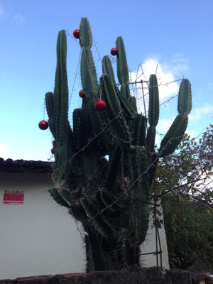 Weihnachtsbaum mal anders... :-)