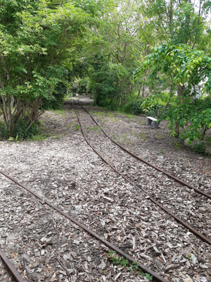 werkspoor in de wadi (natuurzone)