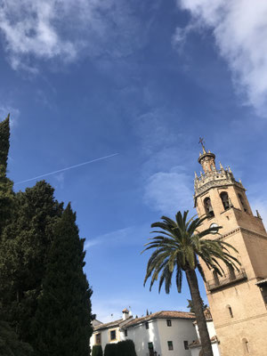 Voyage d'études Sotogrande / Visite Ronda 30.01.2019 / (c) www.effep.eu