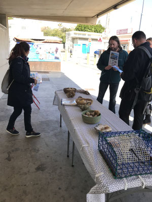Voyage d'études Sotogrande / Visite Estepona 01.02.2019 / (c) www.effep.eu