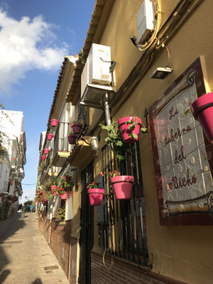 Voyage d'études Sotogrande / Visite Estepona 01.02.2019 / (c) www.effep.eu