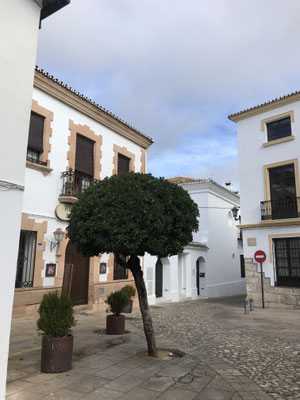 Voyage d'études Sotogrande / Visite Ronda 30.01.2019 / (c) www.effep.eu