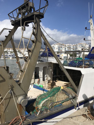 Voyage d'études Sotogrande / Visite Estepona 01.02.2019 / (c) www.effep.eu