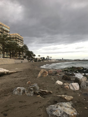 Voyage d'études Sotogrande / Visite de la Sotogrande International School 31.01.2019 / (c) www.effep.eu