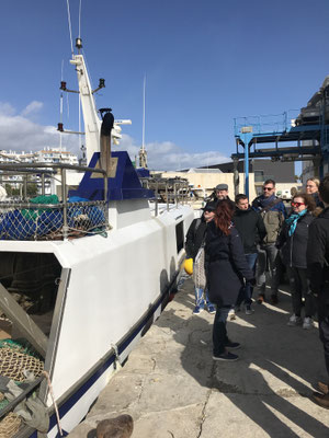 Voyage d'études Sotogrande / Visite Estepona 01.02.2019 / (c) www.effep.eu
