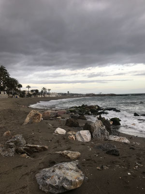 Voyage d'études Sotogrande / Visite de la Sotogrande International School 31.01.2019 / (c) www.effep.eu