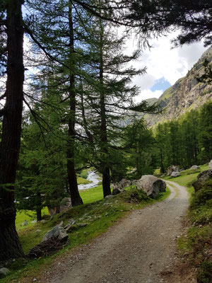  MTB Tour Samedan - Val Bever - Alp Suvretta