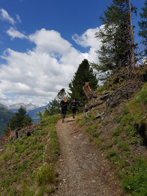  Trailrun Muottas Muragl - Chamanna Segantini - Alp Languard - Muottas Muragl