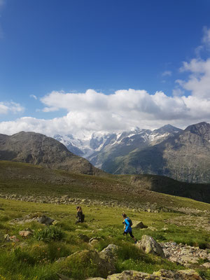  Trailrun Muottas Muragl - Chamanna Segantini - Alp Languard - Muottas Muragl