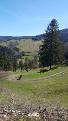 Abfahrt Richtung Fluss