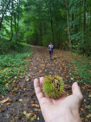 Trailrun nach Étretat