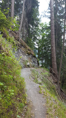 Tolle Singletrails