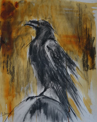 Corbeau 1 - fusain acrylique - 40x30