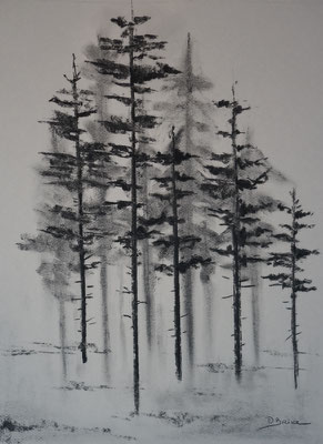 Brume matinale - fusain - 40x30