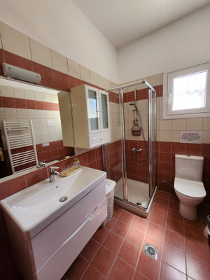 Pink bathroom belongs to the master bedroom