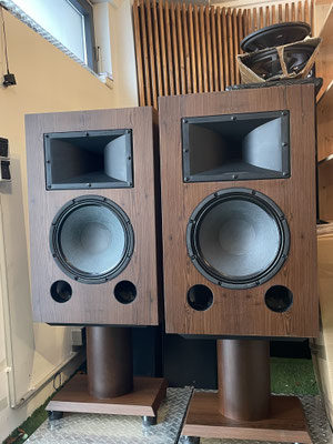 Studio Monitor Snake Oil Audio Monitor Eins Detail Basschassis 12 Zoll