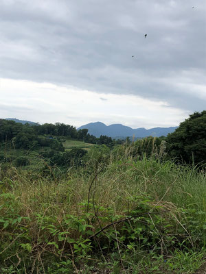 高松山、シダンゴ山方面を眺めながらお昼🍙