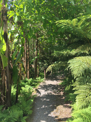 Tremenheere Sculpture Gardens