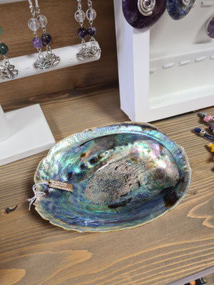 Abalone