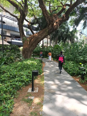 Greenbelt Makati
