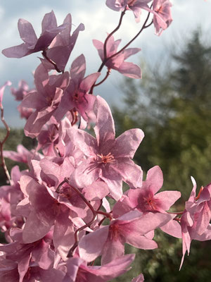 Fleur déco artificielle