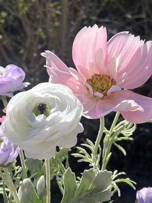 renoncules-et-cosmos-artificiels-haut-de-gamme