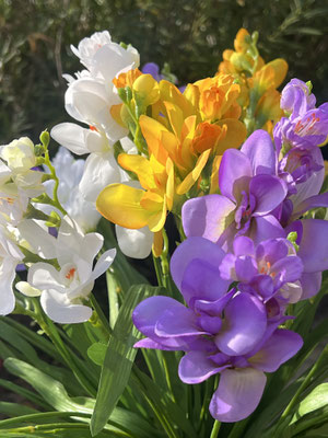 freesia artificiel