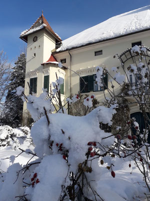 Schloss Ebenau im Winter ©Galerie Walker
