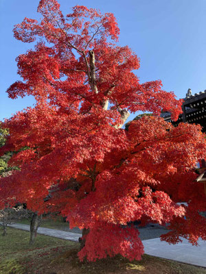 智積院