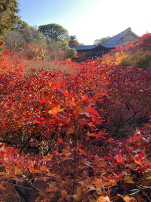 東福寺