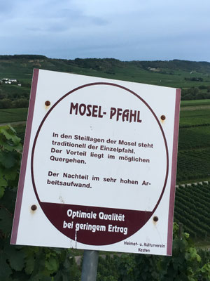 Auf dem Wein-Lehrpfad