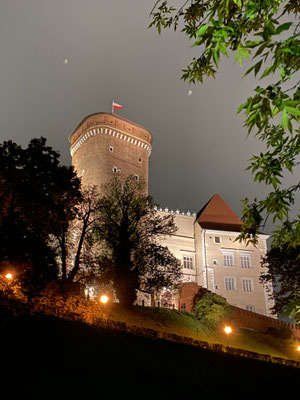 Am frühen Freitagmorgen gab es beim Schloss Wawel mitten in Krakau ein etwas grösserer Halt ...