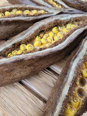 Ausschnitt aus Skulptur "Seeds"