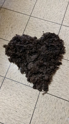 mit viel Liebe
