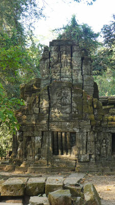 im Urwaldtempel Ta Prohm