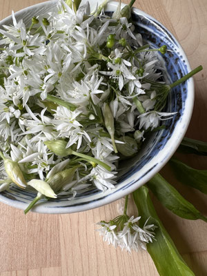 Bärlauch für aromatisches Öl