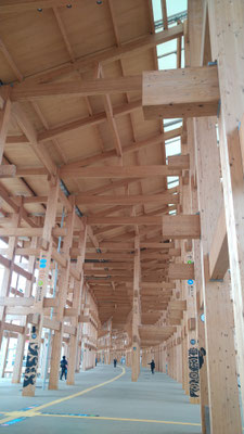 EXPO2025  OpeningDay  　(2025.4.13) (c) Yukie Arai