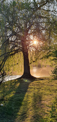 Fühlinger See